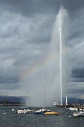 060218_2011tn.jpg