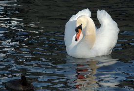060218_2011tn.jpg