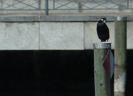 060221_1010tn.jpg