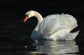 060219_2145atn.jpg